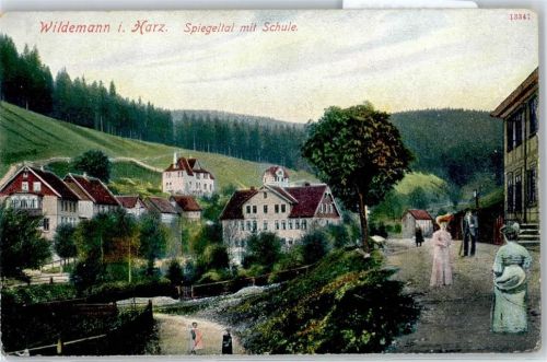 Wildemann Schule , Spielgeltal