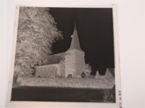 Staffhorst Negativ
