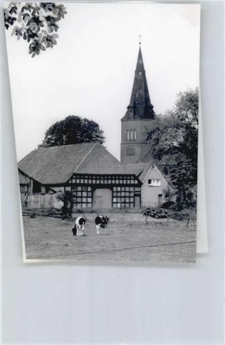 Schwarme Foto mit Negativ, Blick zur Kirche, Kuh