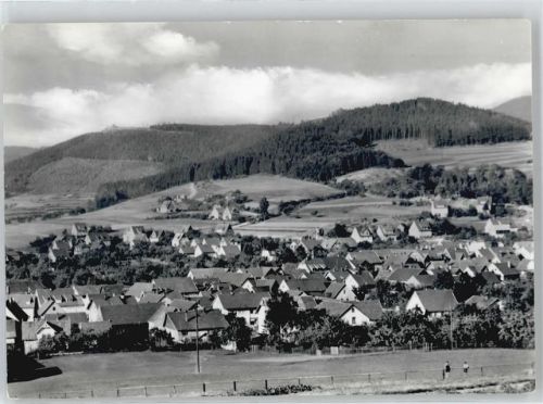 Floh Blick vom Maßkopf