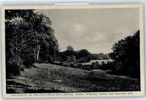 21789 W2177 Dobrock Gebrauchsspuren Waldwiese bei Waldschlösschen