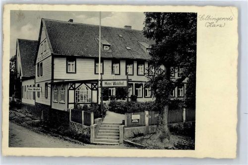 Elbingerode Hotel Waldhof