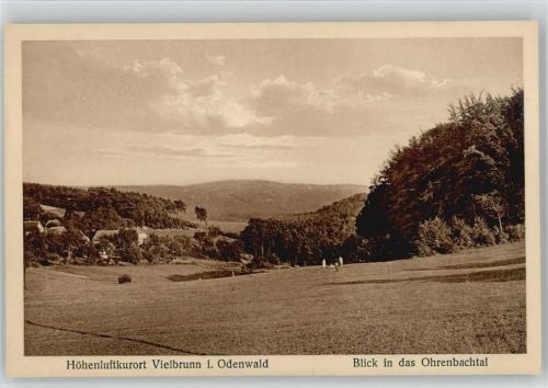 Vielbrunn 1925 - 1930 Blick in das Ohrenbachtal