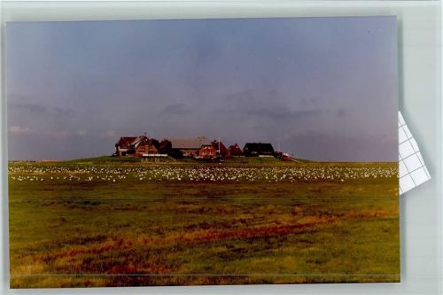 25863 W2251 Langeneß FOTO KEINE AK