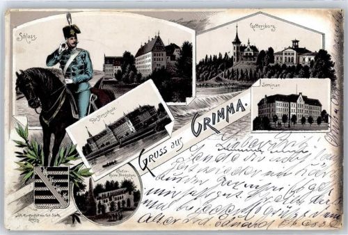 Grimma Schloß, Fürstenschule, Seminar, Gattersburg, Klosterruine Nimbschen