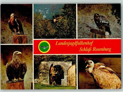 Riedenburg 1968 Jagdfalkenhof Schloß Rosenburg , sehr gute Erhaltung AK