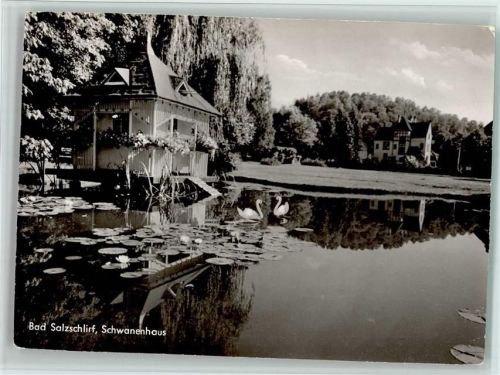 Bad Salzschlirf Schwanenhaus Schwäne Seerosen