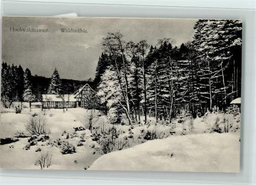 Hochwaldhausen Waldmühle Winteraufnahme