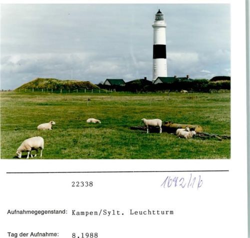 Kampen Leuchtturm Schafe Foto montiert auf Karton