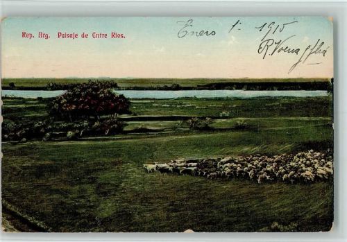 Buenos Aires Paisaje de Entre Rios Schafherde