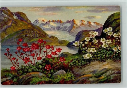 1931 Alpenblumen - Verlag Gebr. Züricher Nr. 580 AK