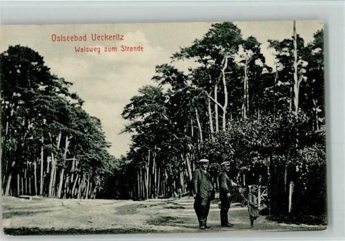 Ückeritz Waldweg zum Strande