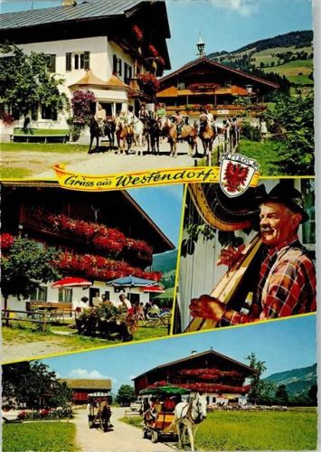 Westendorf 1975 Reitsport und Kutschenfahrten AK