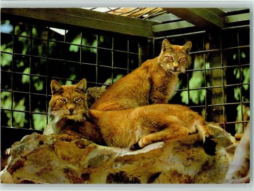 1983 Tierpark Gera - Zoo - Verlag Bild und Heimat