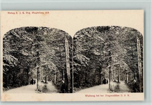 um 1905 - Waldweg bei den Niagarafällen , Verlag Voß 619 AK