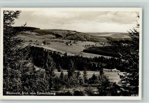 Blasiwald Blick vom Schmalzberg