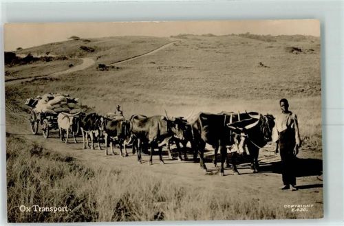 Johannesburg Ox Transport Ort handschriftlich