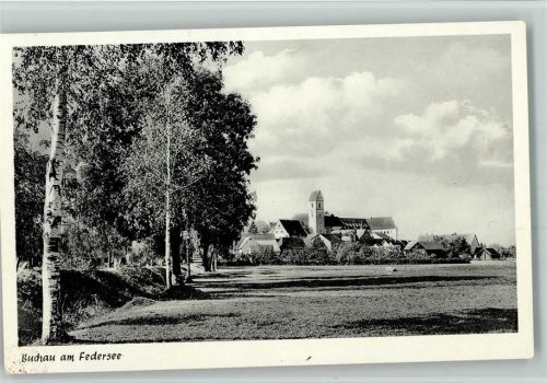 Buchau Birken Teilansicht