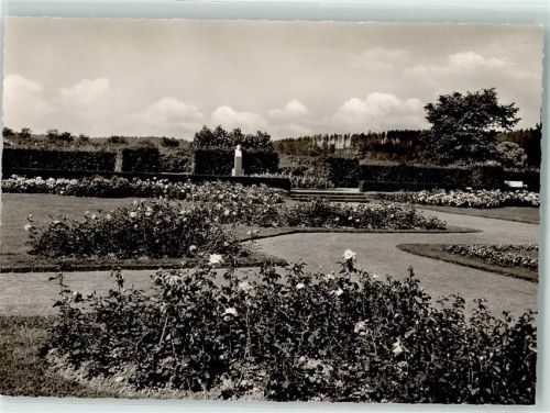 Bad Driburg Im Rosengarten