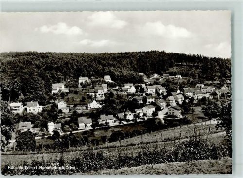 Hammelbach Rückseite mit Abschürfungen und Kleberesten