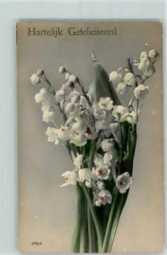 1919 Hartelijk Gefeliciteerd AK