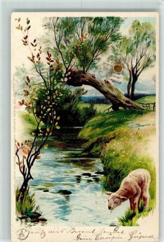 1900 Sonnenschein Karte Serie XIII Lithographie AK