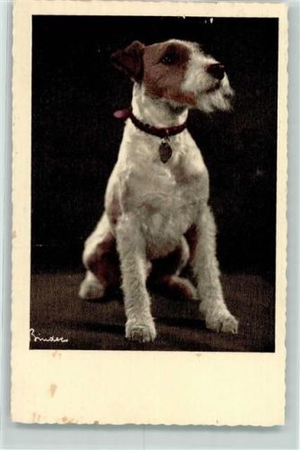 1942 Fotografie Binder