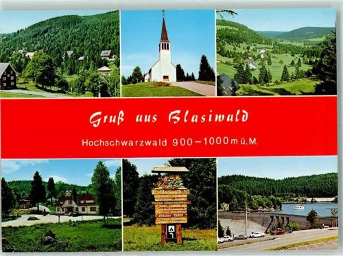 Blasiwald Rückseite mit Abschürfungen bzw Kleberesten