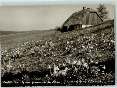 Glatz Vorfrühling auf den Grenzdorfer Höhen