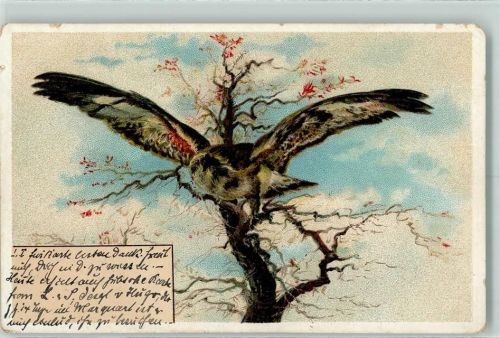 1908 Jagd Seeadler AK
