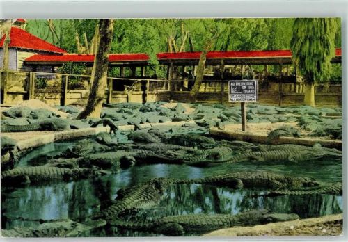 St.Augustine Alligator Farm