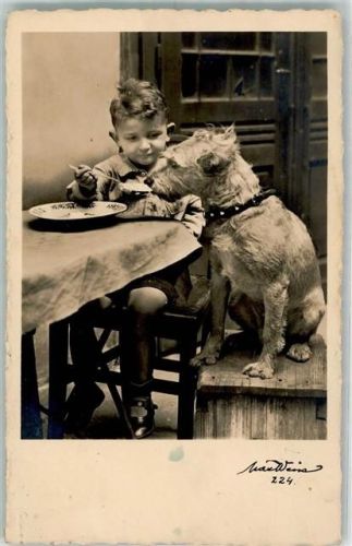 1936 Kind Hund darf am Tisch sitzen AK