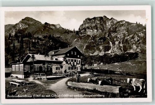 83727 W8162 Bodenschneidhaus b Schliersee - Kühe Hohenpreissenberg