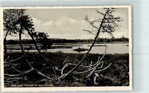 Ruhestein Wildsee