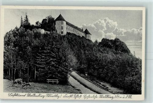 Waldenburg Schloss