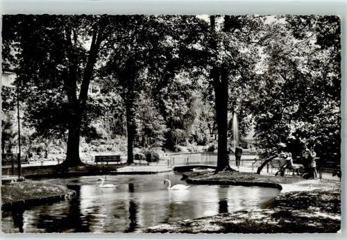 Offenburg Zwinger Anlagen Schwanenteich Schwäne