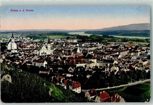 Krems Donau Weinreben