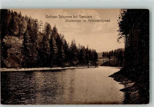 Tambach-Dietharz Gothaer Talsperre Apfelstädtgrund Staubecken