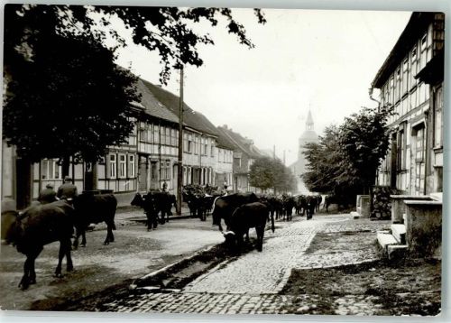 Benneckenstein Kuhauftrieb Fachwerkhäuser