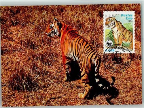 1984 Der Tiger - WMF Maximum Card Mit Briefmarke