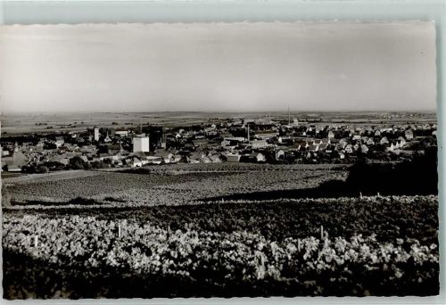 Grünstadt