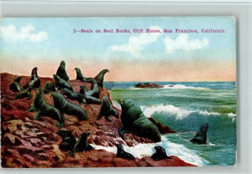 Seals on Seal Rocks, San Francisco , gute Erhaltung
