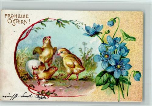 Ostern - Küken schlüpfen aus den Eiern, 1904 AK