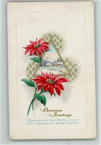 Christmas Greeting - Christrosen AK