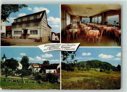 Neunkirchen Höhengasthaus und Pension Grüner Baum