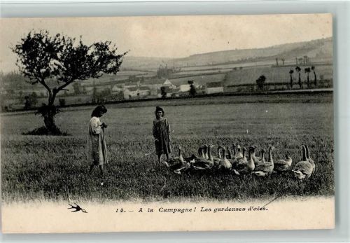 1918 A la Champagne - Les gardeuses d`oies - Gänseliesl