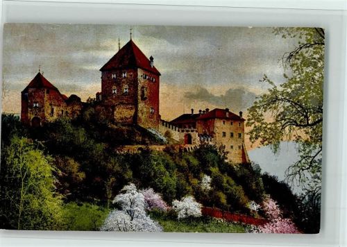 Serie 145 Nr. 2723- Obstblüte in Tirol- Schloss , gute Erhaltung AK