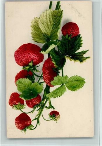 Nr. 715 Früchte: Erdbeeren AK