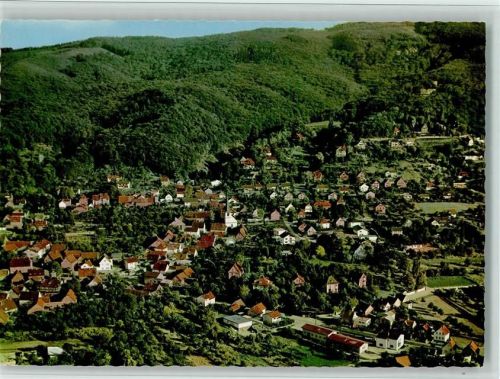 Alsbach Luftaufnahme