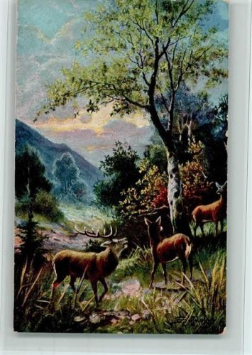 Jagdtiere - Hirsch u. Rehe AK